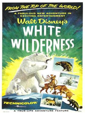 白色的荒地/White Wilderness电
影海报
