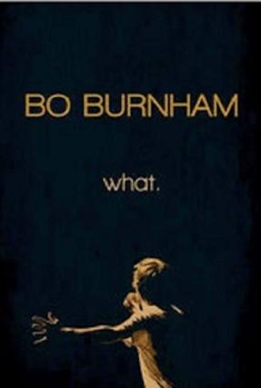 博·伯翰：什么。/Bo Burnham: What电
影海报