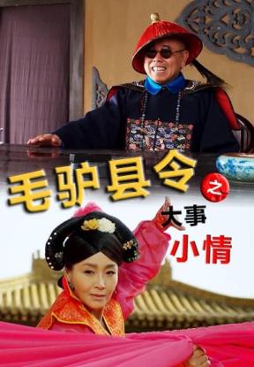 毛驴县令之大事小情电影海报